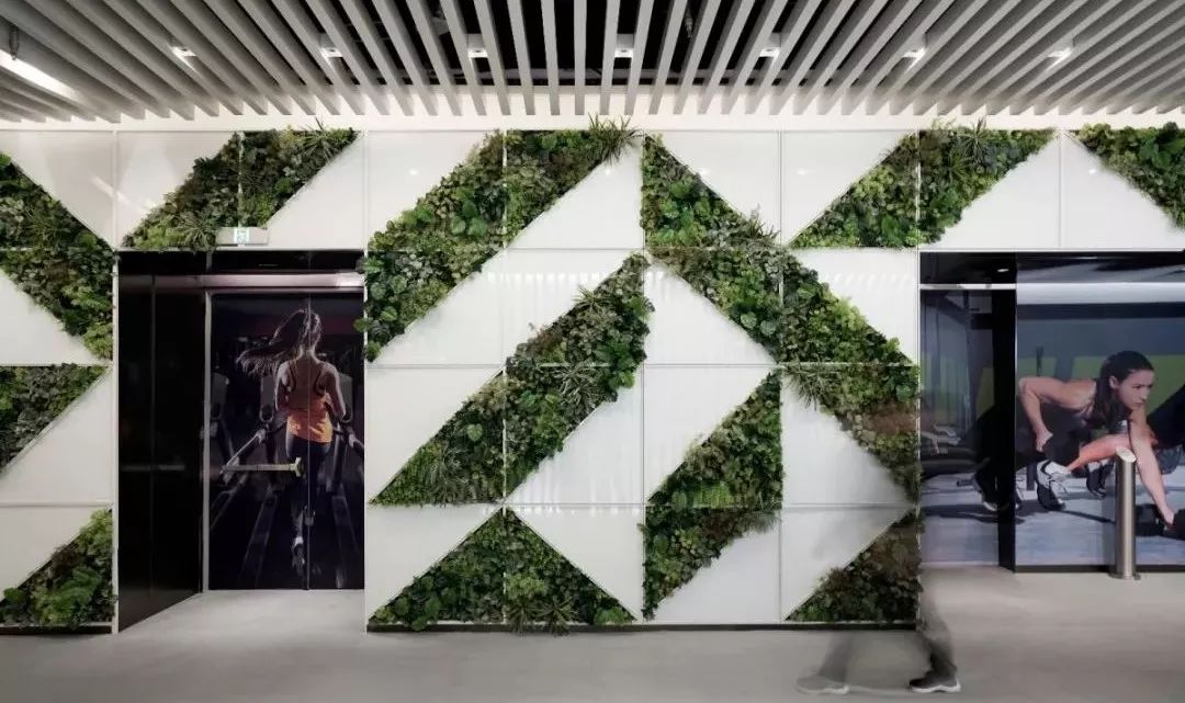 复星集团上海bfc外滩金融中心,上海复星bfc外滩金融中心外观