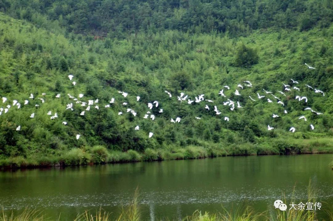 “工程大过油罗口”！这句大余人都熟悉的俚语，背后有怎样的故事……