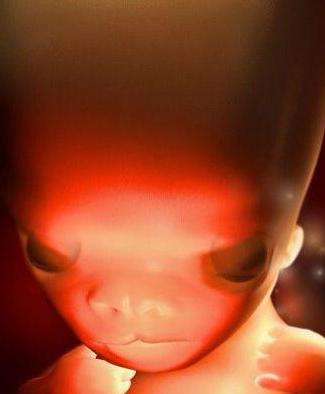 3d演示胎儿发育全过程,胚胎发育全过程3d演示