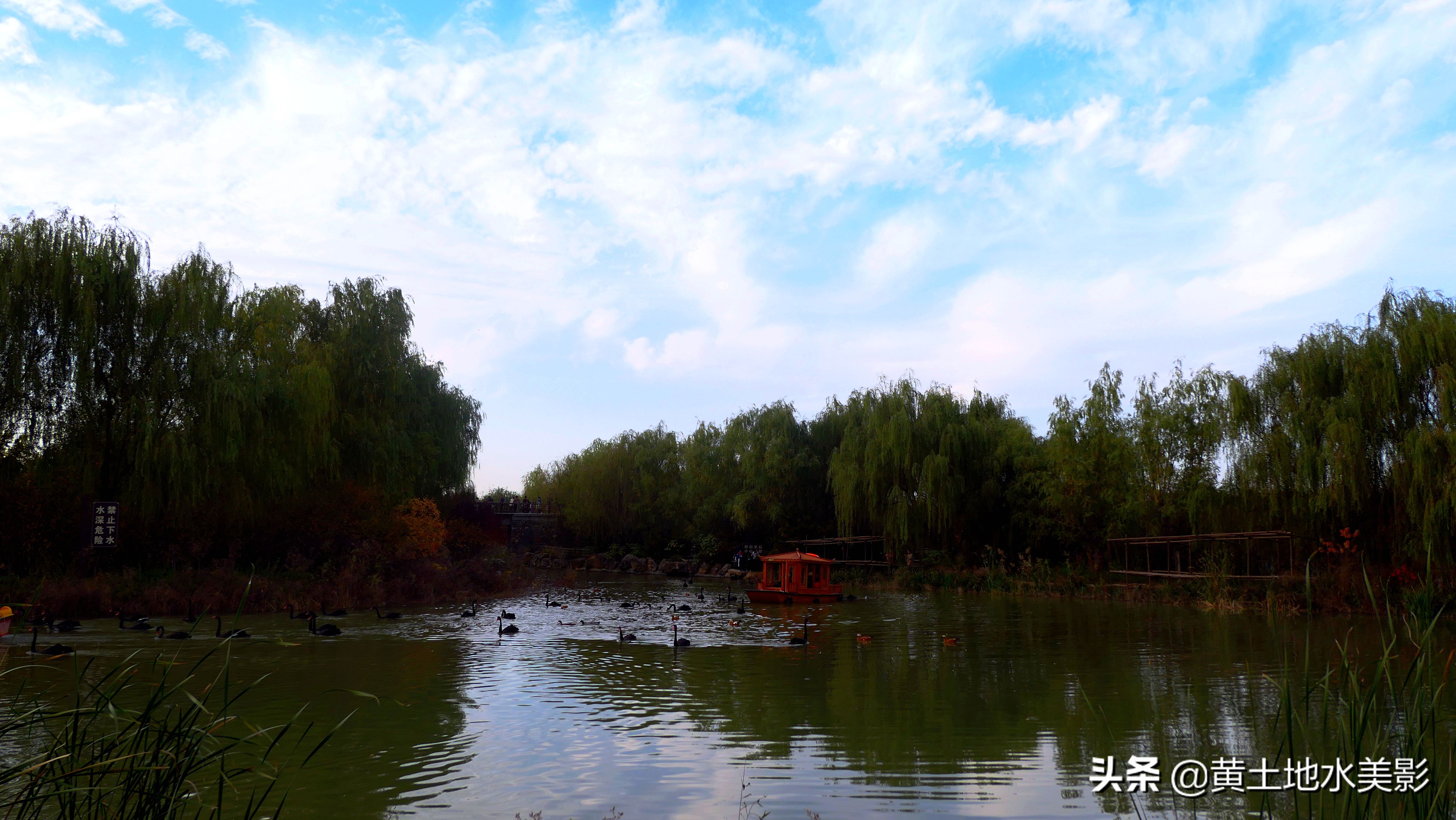 占地590亩的湿地公园,野生动物比较多的旅游景区