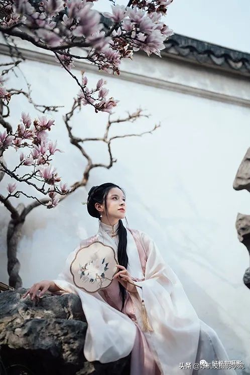 索尼全画幅适马和腾龙怎么选,腾龙和适马镜头哪个适合索尼微单