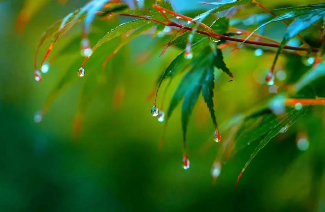 有关秦皇岛的歌曲,这些经典流行歌曲满满的都是回忆