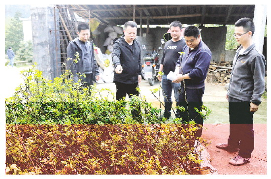 桂林生态文明建设视频素材,桂林生态保护