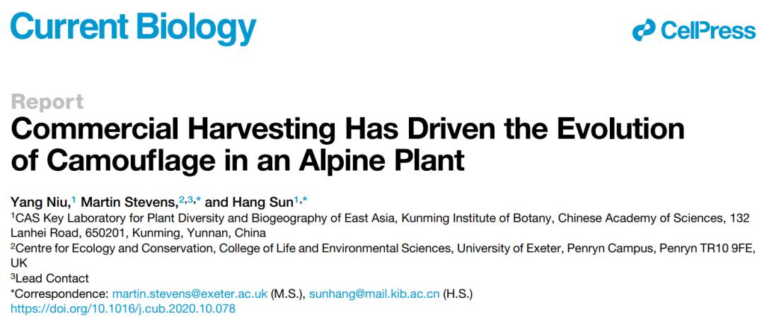 号召网友一起来玩“找茬游戏”，研究结果发了篇顶级论文