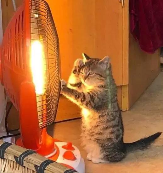 香港这家便利店的店长,靠着腮帮子走红了