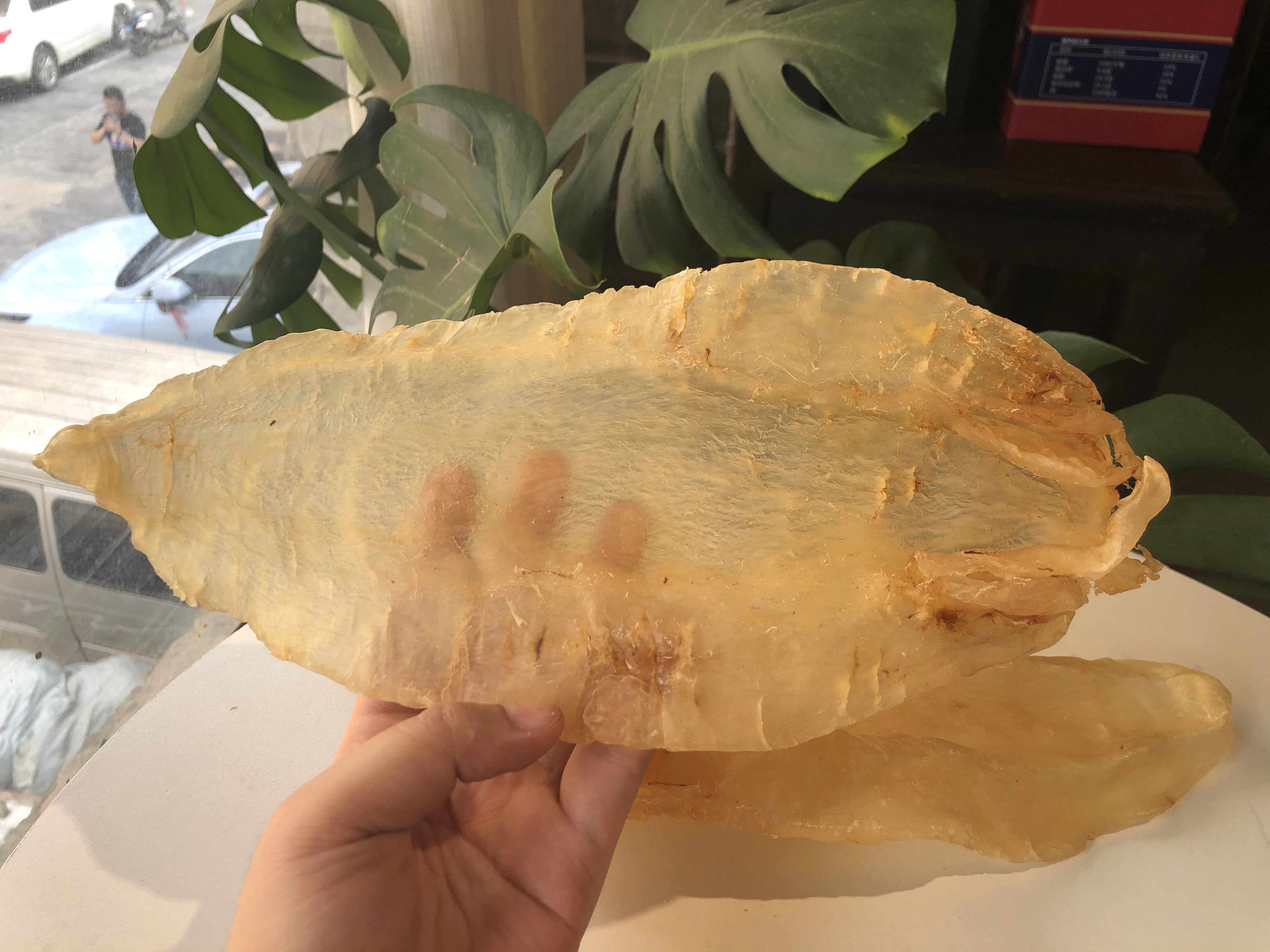 家庭食用哪种黄花胶比较好,官栈轻食花胶和即食花胶区别