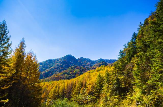 五一武汉市周边游,五一武汉周边短途旅游推荐