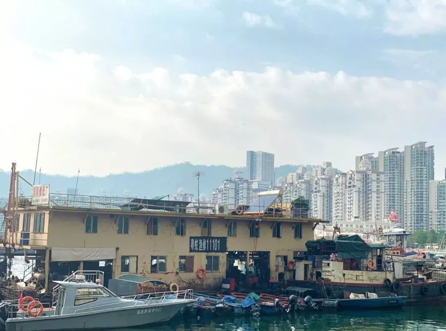 去蛇口玩吗,深圳蛇口值得去吗