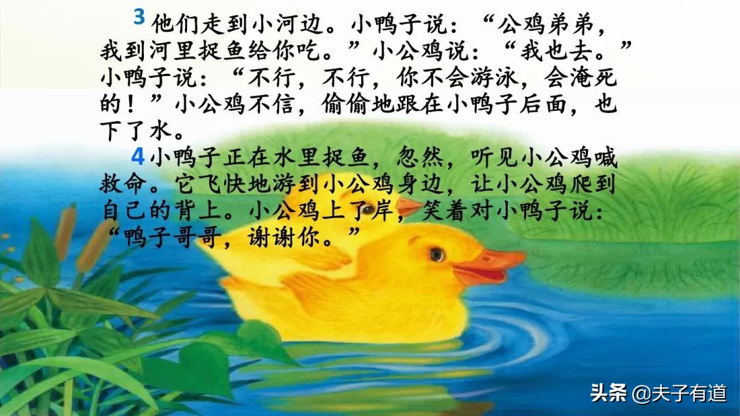 一年级下小公鸡和小鸭子看图写话,一年级下册小公鸡和小鸭子第五课