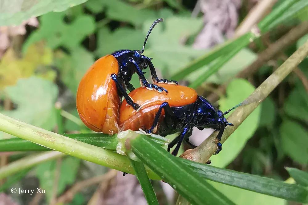 情人节,就该和爱的人*爱做**做的事