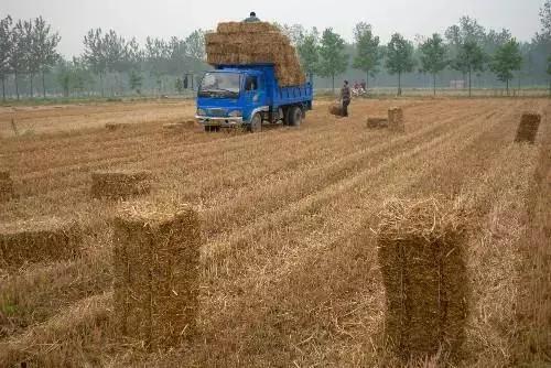 秸秆资源化变废为宝,秸秆资源综合利用