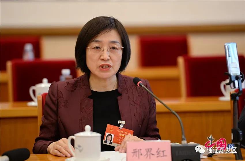 做蒙药产业的护航者——记自治区优秀*产党共**员邢界红