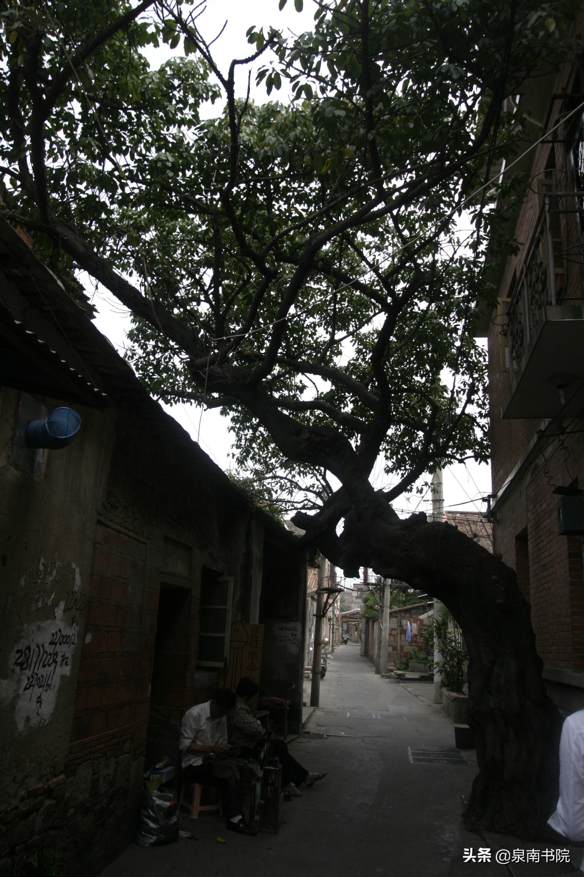 泉州古城廿四巷,泉州古城三朝巷