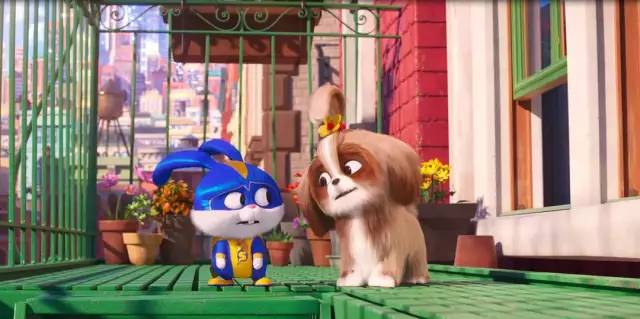 「内有赠票」被小动物萌翻,《爱宠大机密2》赶紧带上孩子去看吧