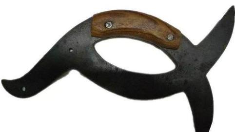 长得像鸭子但是嘴是尖的,长得像鸭子的家禽