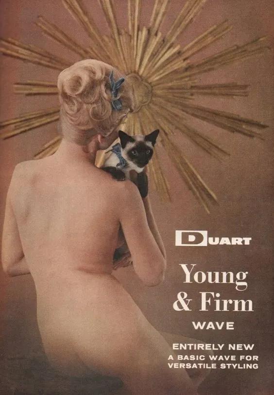 为什么古早广告会出现猫,为何古早广告中经常出现猫