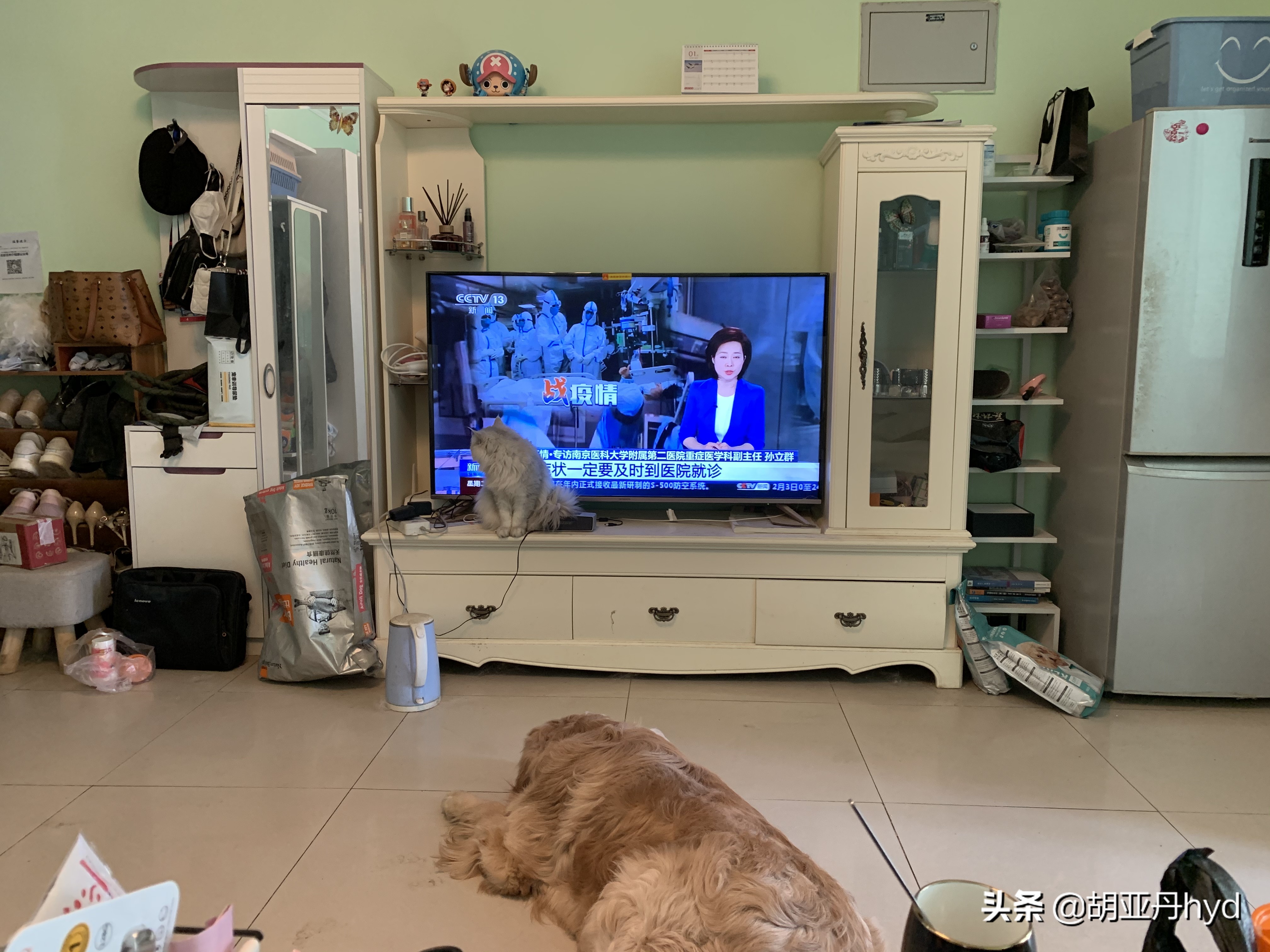 公寓爆雷,北京公寓租房踩雷