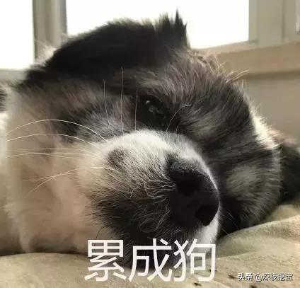 2021送男朋友520礼物排行榜,别人家男朋友的520礼物