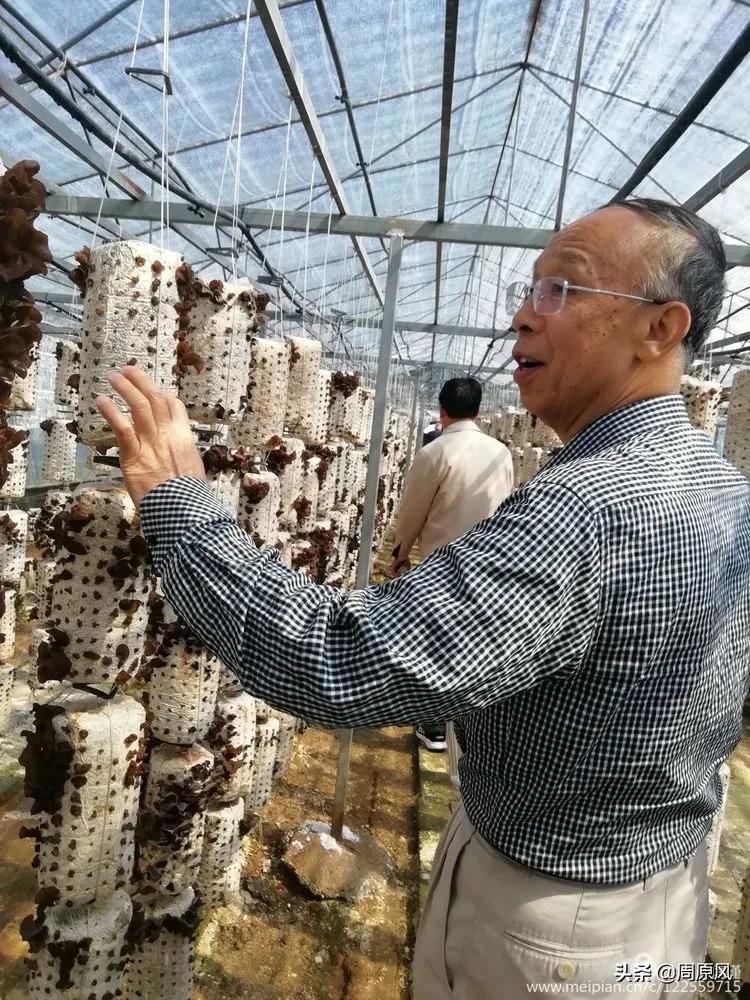 赴一场春日的邀约,五月赴一场与槐花的约会