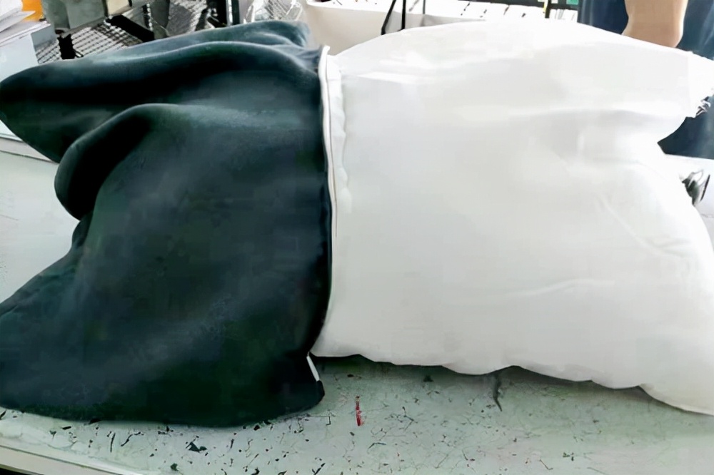 千里邮寄一只旧枕头原来枕芯内藏有猫腻两地警方联手查获一起通过寄递渠道寄运*品毒**案