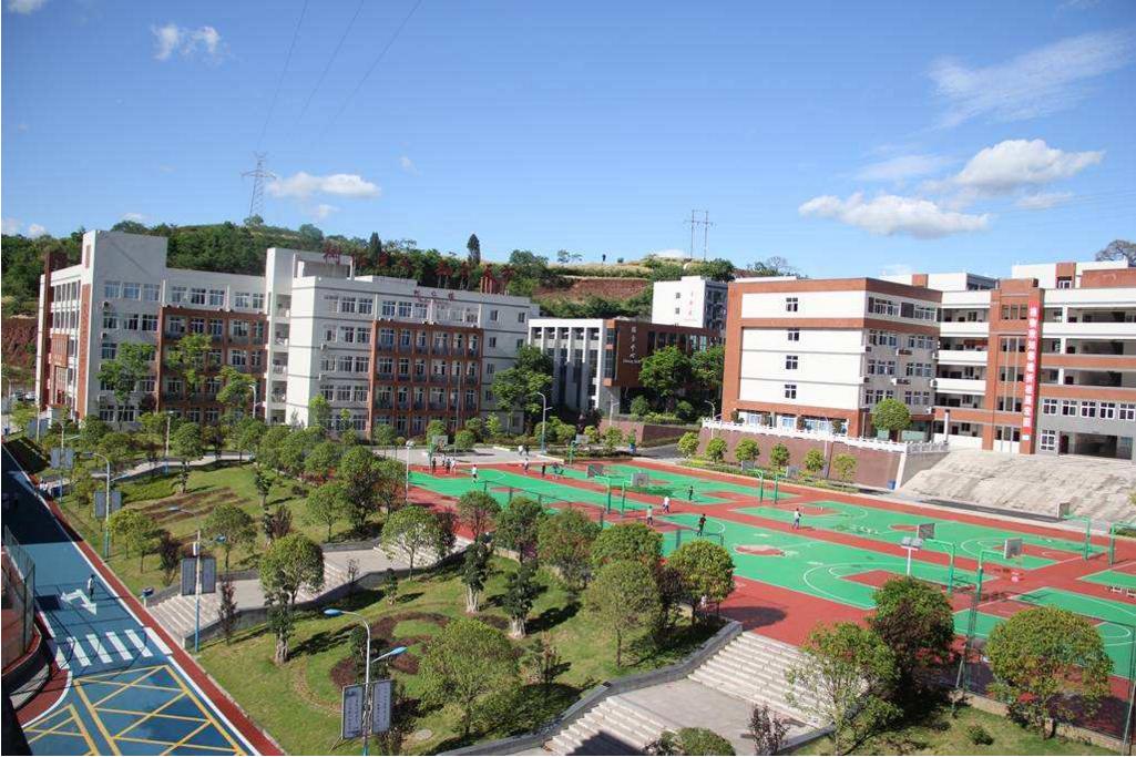 深圳十大优质小学,2023深圳小学优质排名