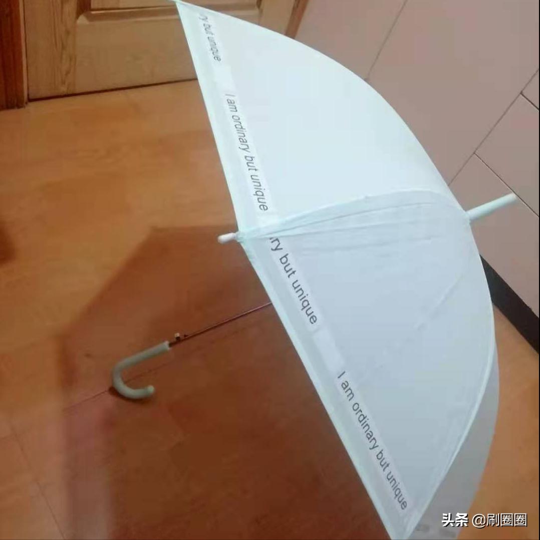 第五单元说明文作文500字五年级,五年级第五单元说明文作文范文