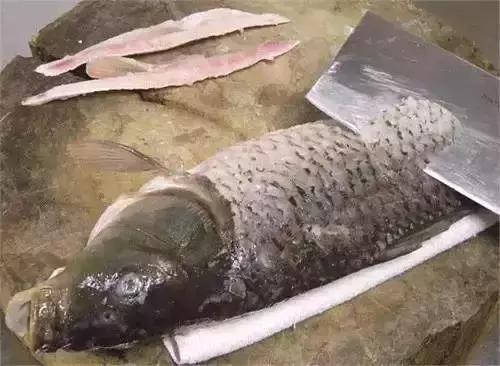 特色菜金毛狮子鱼,石家庄特色金毛狮子鱼