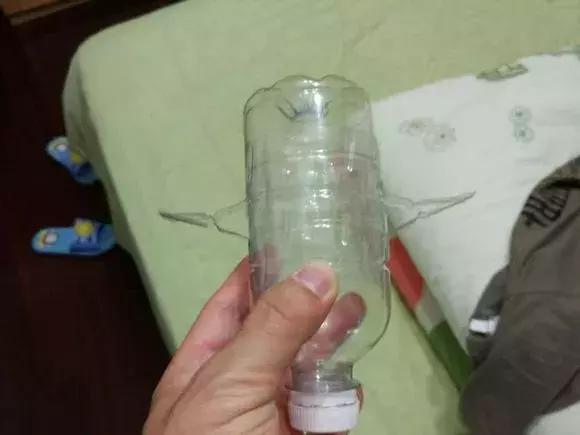 大水瓶扦插生根神器,室内用塑料瓶扦插生根最快方法