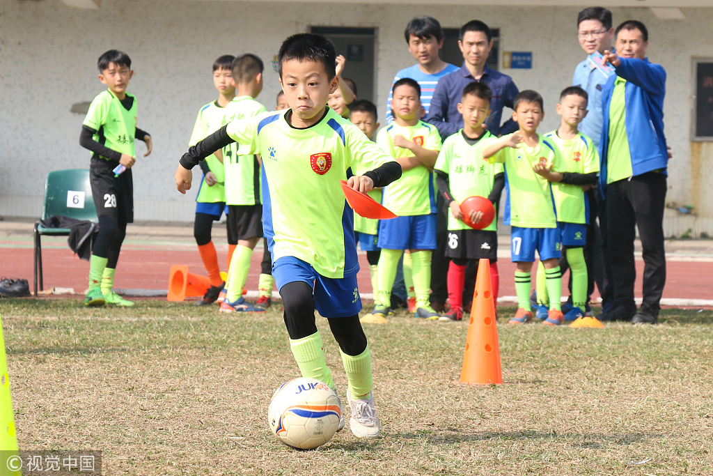 里皮从中国赚走了多少钱,里皮对中国足球的贡献