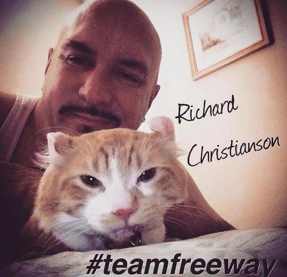 一只猫咪出了车祸,猫咪遇难被好心人救下