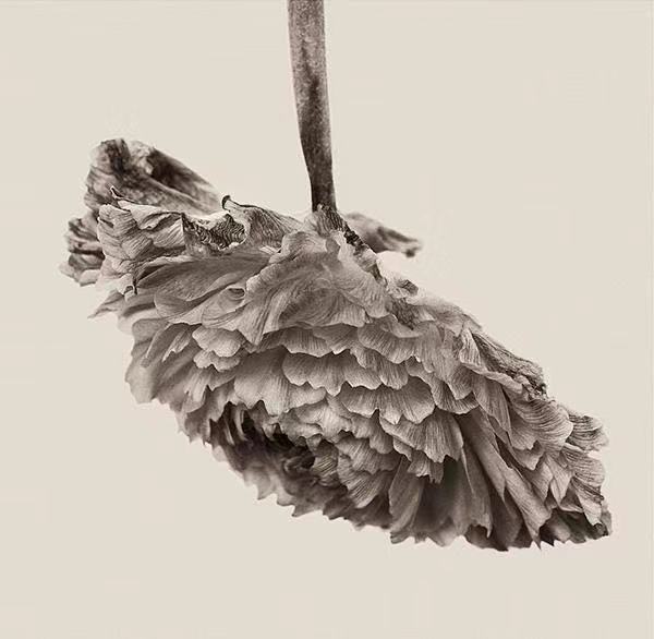 如何通过细节看穿一个人的心理,如何看透一个人8个细节