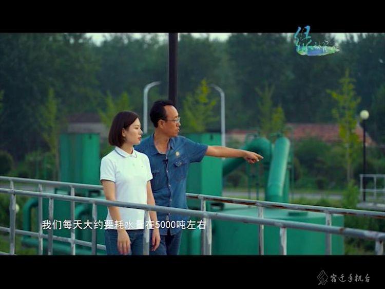 走进平原林海泗阳，一起感受辽阔壮美的泗阳之绿