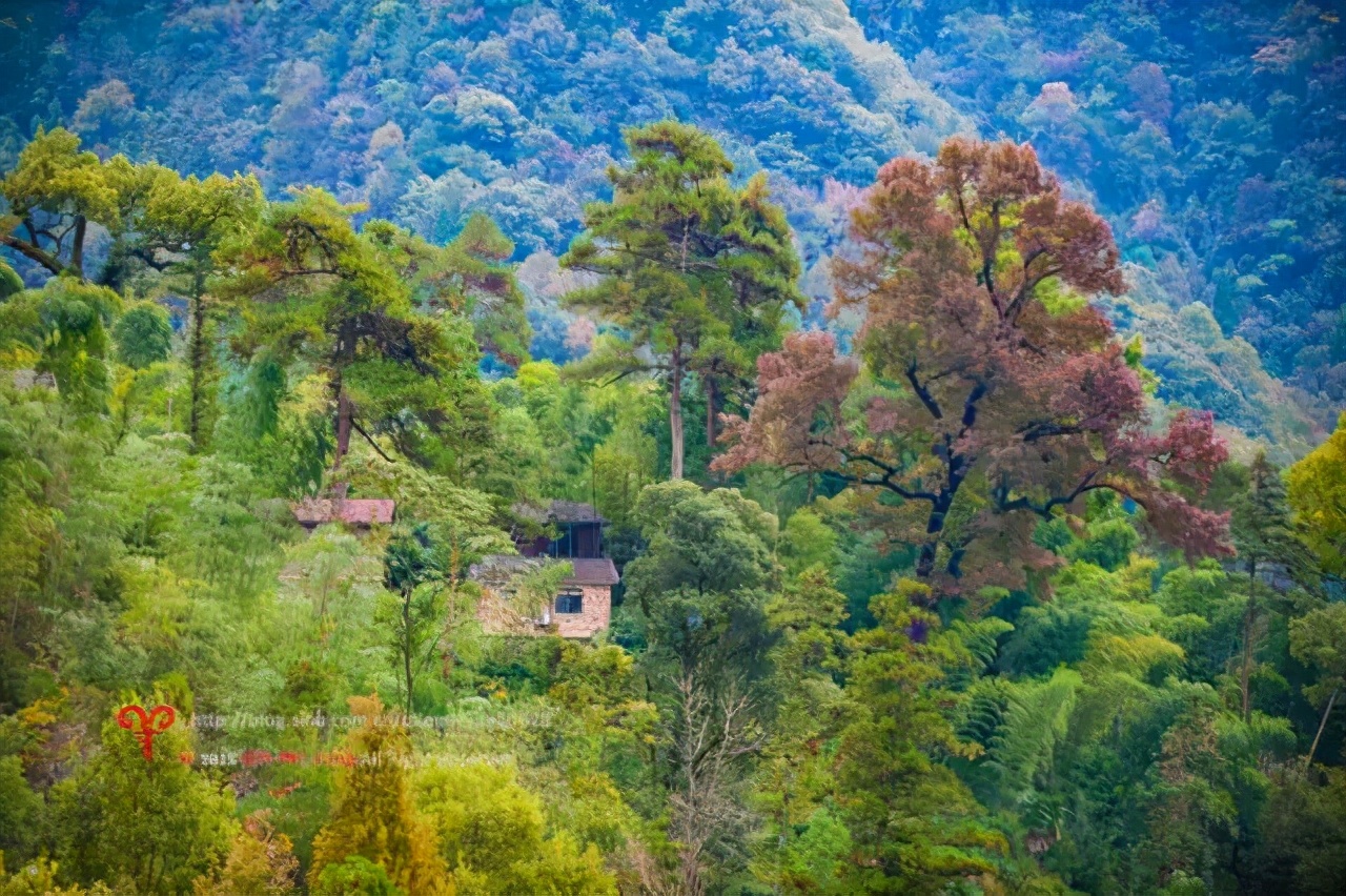 杭州天目山上客堂禅意民宿,天目山斐文禅意酒店