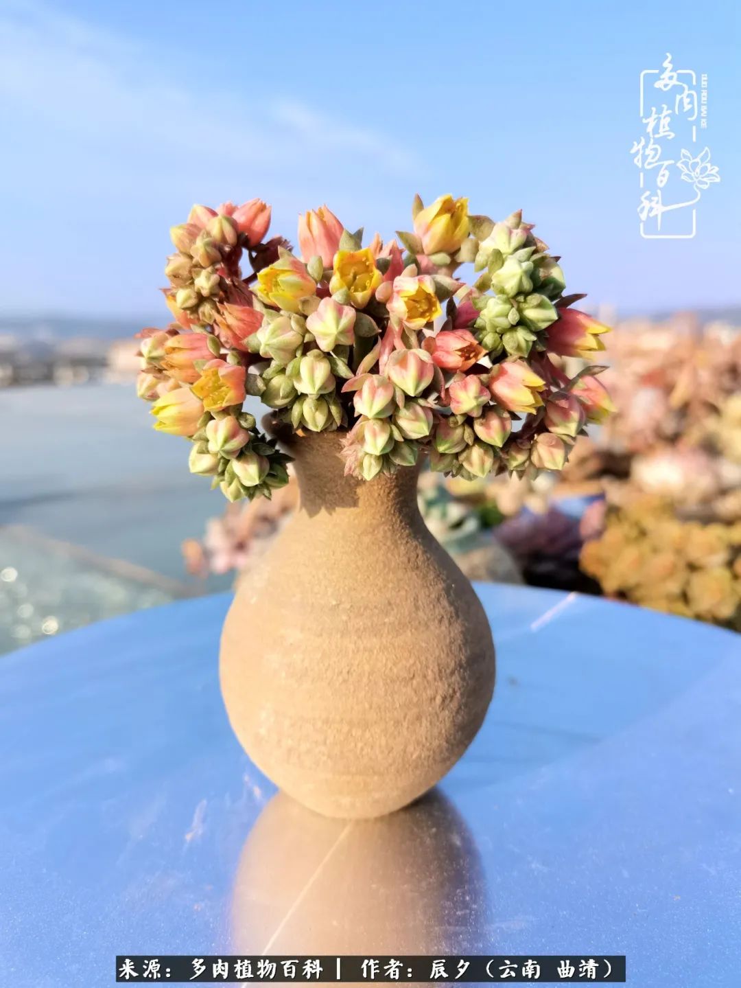 缂辩换鏃栨棊钁宠暏鐢熼,缂辩换鏃栨棊钁宠暏鐢熼鍑哄