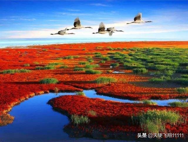 中国259个5a景区,全国259个5a景区