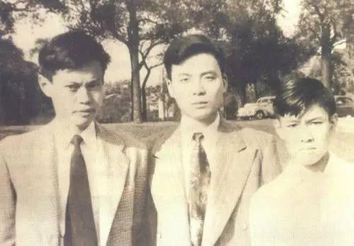 翁帆公开与杨振宁婚姻细节,82岁杨振宁与28岁的翁帆现况怎样