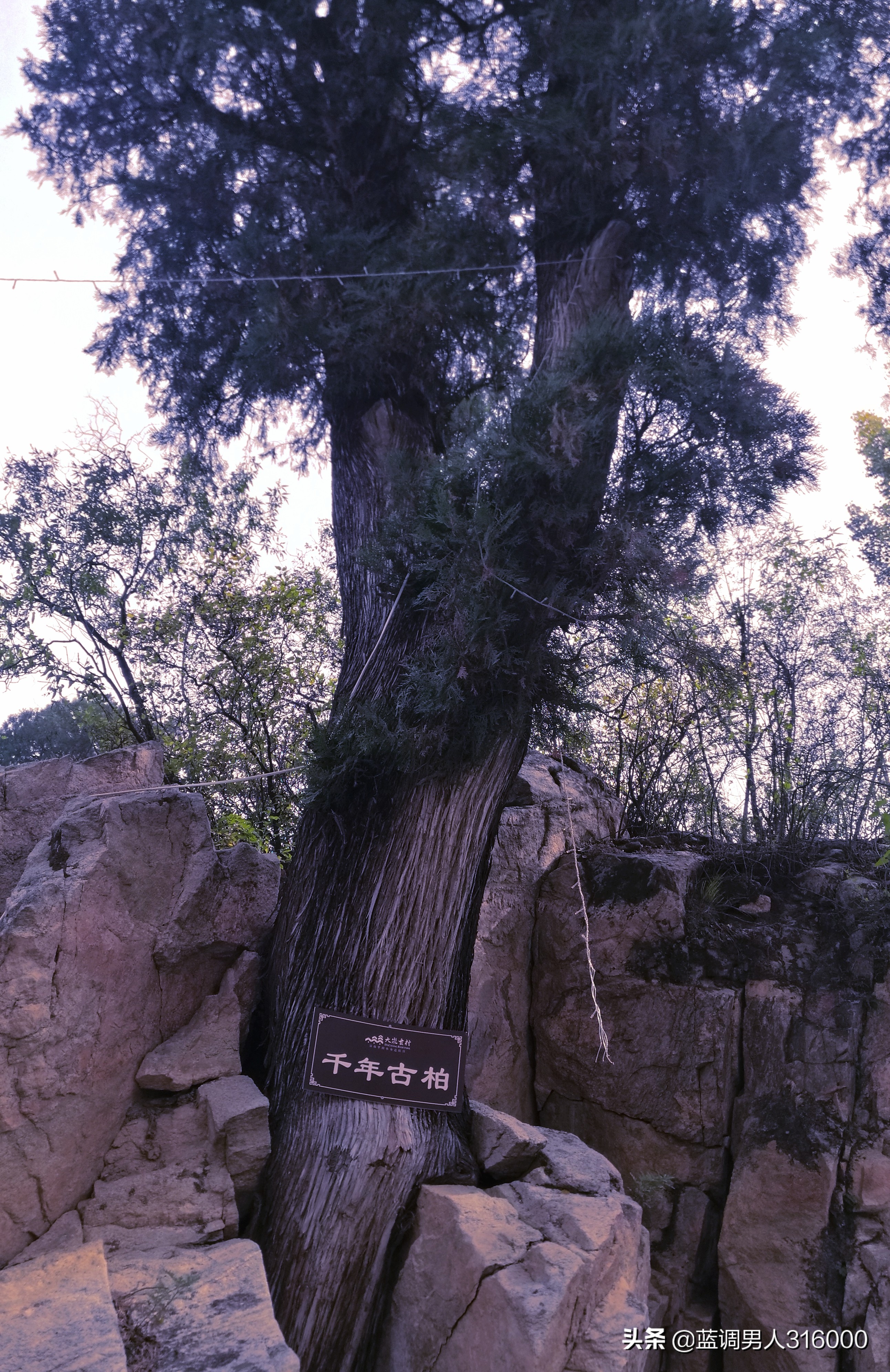 山西盂县大汖古村现状,大山深处的古村落大汖村寻访记