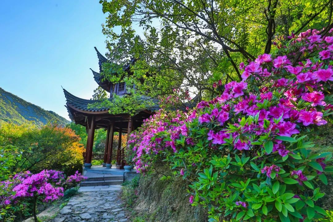 家在北仑,我有一个家北仑