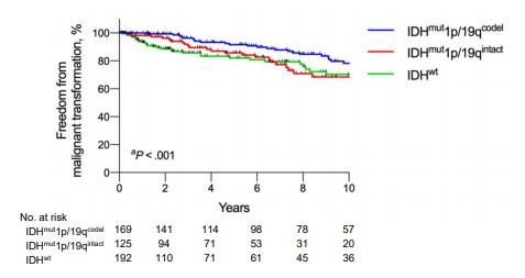 胶质瘤四级从开始就是四级吗,胶质瘤二级会不会升三级