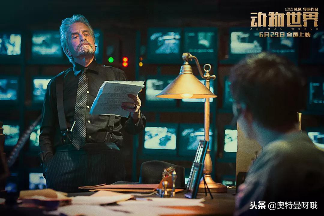 动物世界的伏笔,动物世界蕴藏的人生哲理