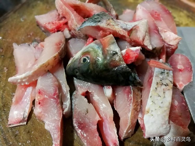 舌尖上的家常菜鱼,舌尖上的味道百吃不腻完整版