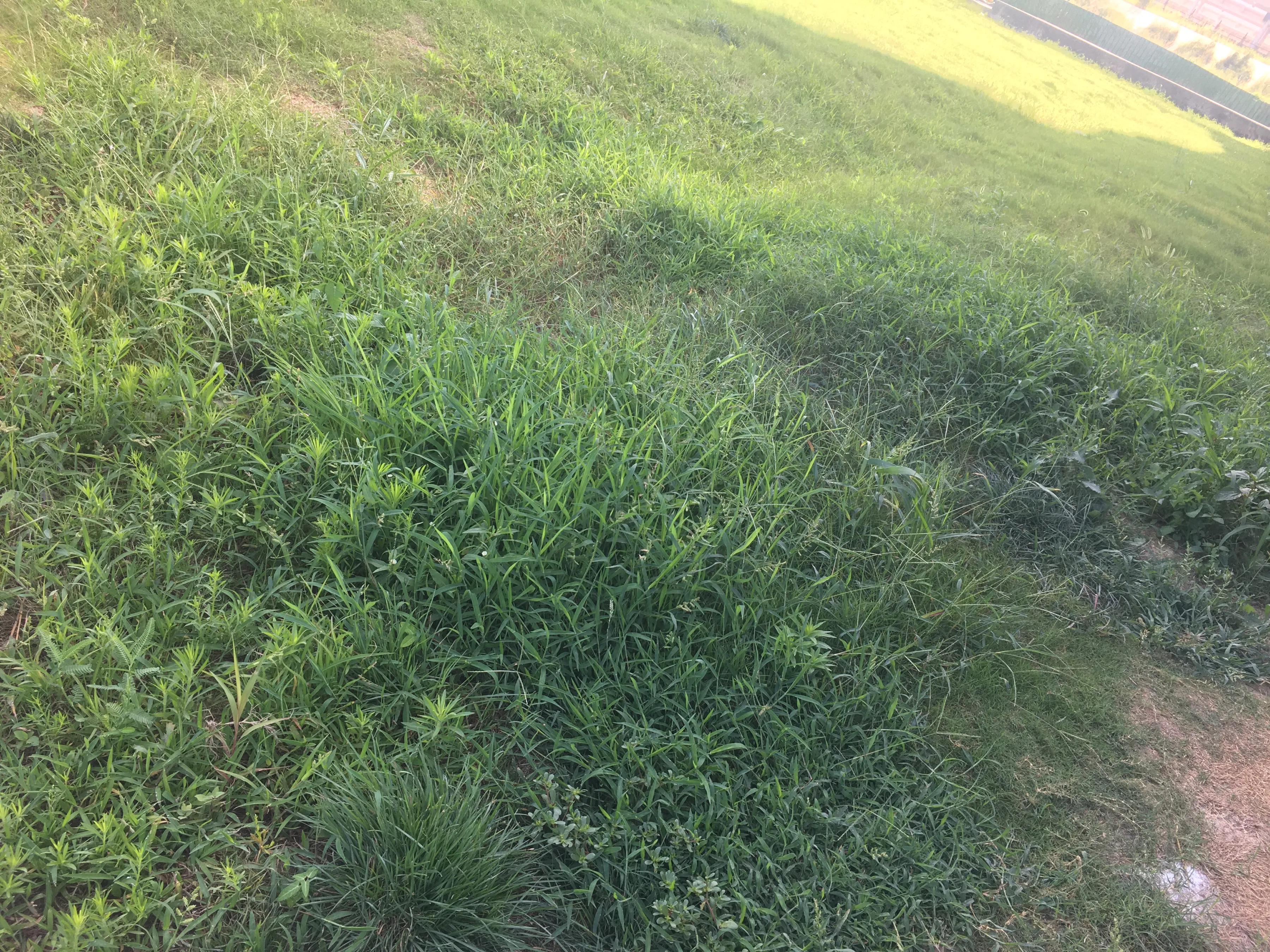 物种的起源视频,物种的起源