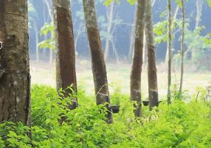 舒适到爆的内衣,特别舒服特别软的内衣