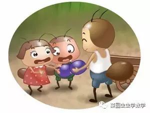 菜园种菜数学问题,菜地种菜数学问题