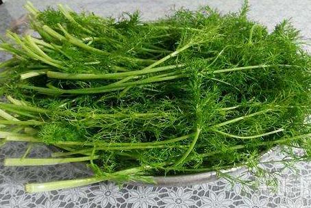 夏季吃饺子什么馅适合,宝宝吃水饺什么馅的好