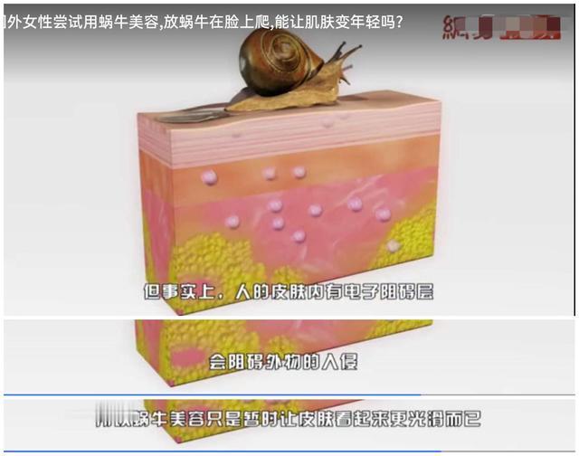 抗衰老蜗牛,蜗牛护肤品抗皱抗衰老