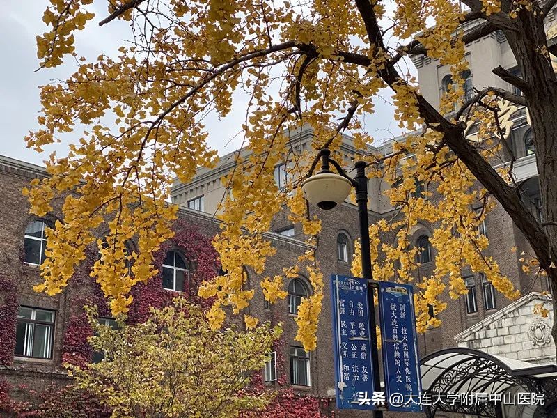 博古通今纵览,小编带你逛医院