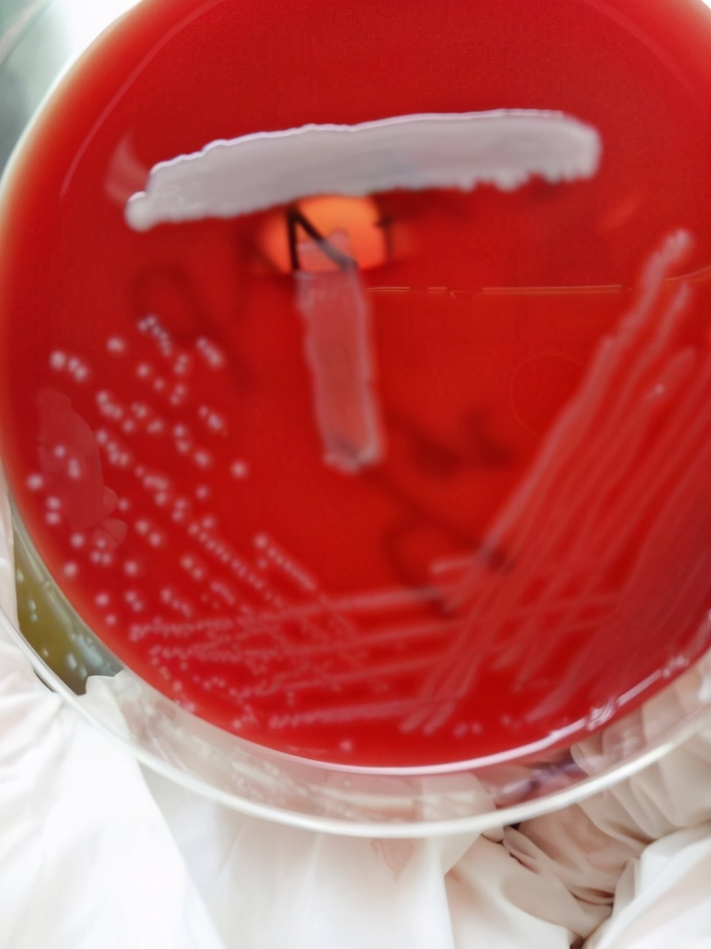 代孕对婴儿的健康危害,代孕婴儿的九大危害