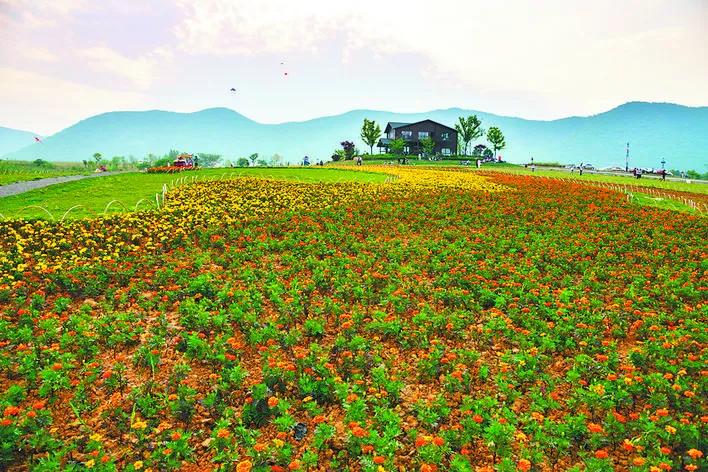 合肥被评为最宜居的城市,西安与合肥哪个宜居