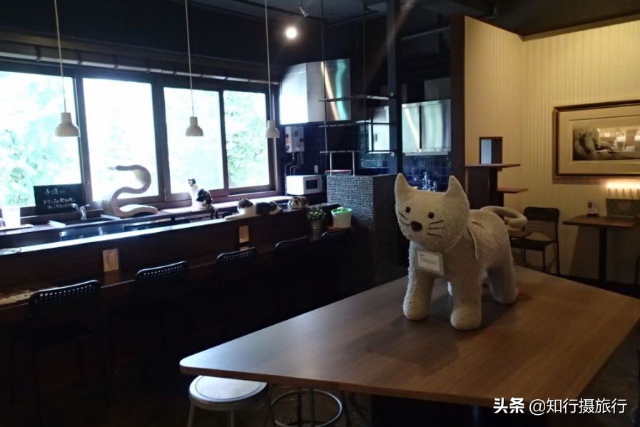 大阪小众景点,去大阪注意事项